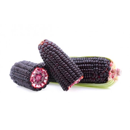 PERUVIAN PURPLE CORN : 1KG