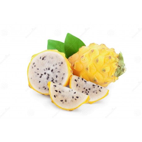THAI PITAYA YELLOW DRAGON FRUIT BOX : 3PCS