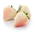 WHITE FRESH STRAWBERRY BOX : 250 GM