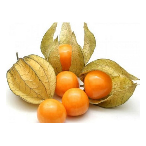 CAPE GOOSEBERRY BOX : 5KG