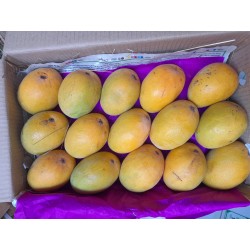 DEVGAD MANGO - SMALL SIZE : 15 PCS