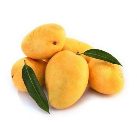 SWEET KESAR MANGO : 1 DOZEN