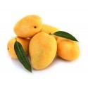 SWEET KESAR MANGO : 1 DOZEN