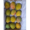 LALBAGH MANGO  BOX : 12 PCS