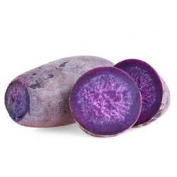 BELGIUM PURPLE SWEET YAM: 1KG