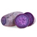BELGIUM PURPLE SWEET YAM: 1KG
