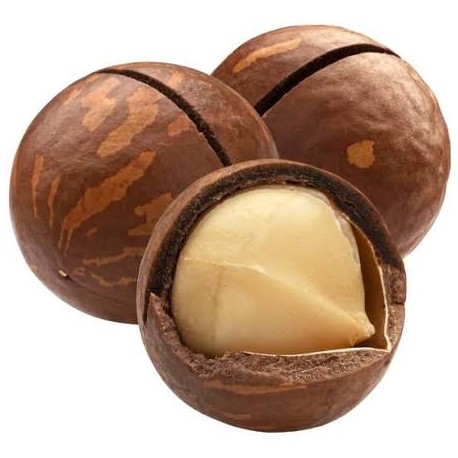 MACADAMIA NUT DRY FRUIT : 1KG