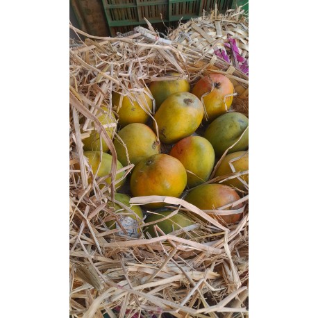 PAYRI MANGO KARANDI  : 2.5 DOZEN