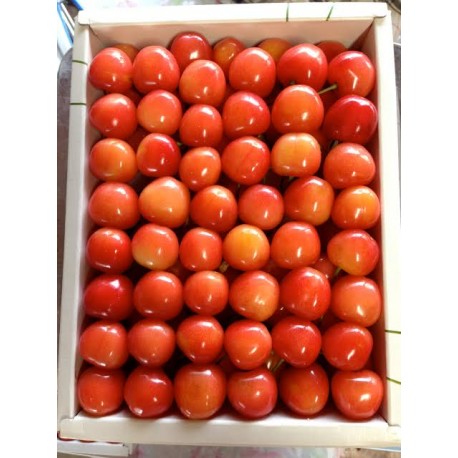 WASHINGTON CHERRY FRUIT BOX : 1KG 