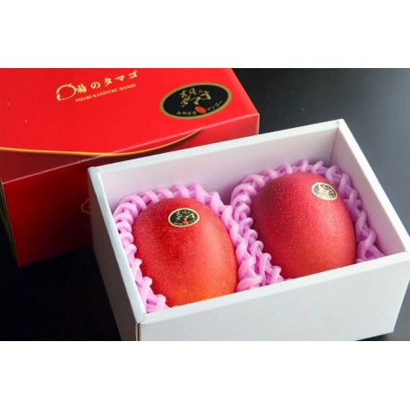 JAPAN MIYAZAKI MANGO GIFT BOX :  02 PCS