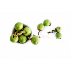 BHOKAR FRUIT  - INDIAN GLUEBERRY : 1KG