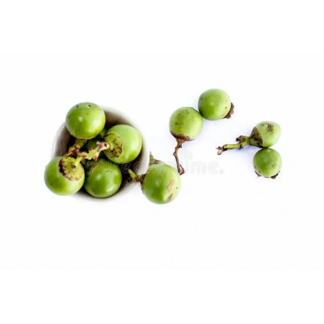 BHOKAR FRUIT  - INDIAN GLUEBERRY : 1KG