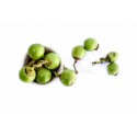 BHOKAR FRUIT  - INDIAN GLUEBERRY : 1KG