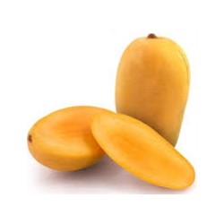DEVGAD KESAR MANGO : 1 DOZEN