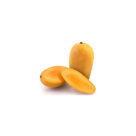 DEVGAD KESAR MANGO : 1 DOZEN