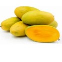 CHAUSA MANGO - GOLDEN : 5KG : 20 PCS