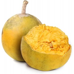 BELL FRUIT BOX : 2KG