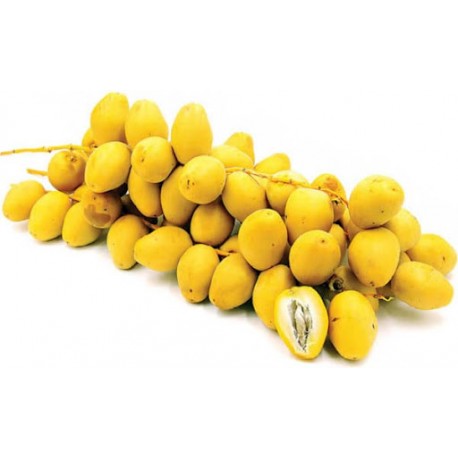 YELLOW DATES FRUIT BOX  : 1KG