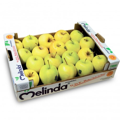 MELINDA GOLDEN APPLES GIFT BOX : 5KG