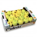 MELINDA GOLDEN APPLES GIFT BOX : 5KG
