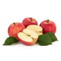ROYAL GALA APPLES BOX : 10KG