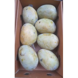 SONPARI MANGO : 5 PCS