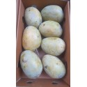 SONPARI MANGO : 5 PCS