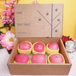 JAPANESE SAN FUJI APPLES GIFT BOX : 5KG