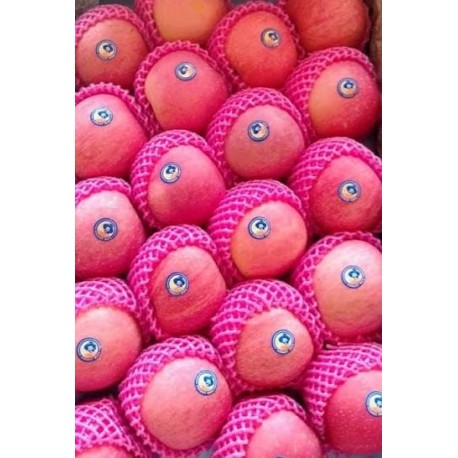 PINK FUJI APPLES GIFT BOX : 5KG