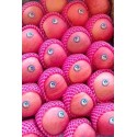 PINK FUJI APPLES GIFT BOX : 5KG