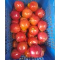 POMEGRANATE CRATE : 10KG