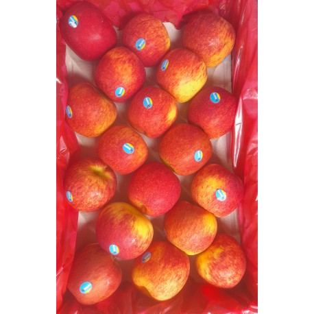 ROYAL GALA APPLES GIFT BOX : 5KG