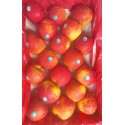 ROYAL GALA APPLES GIFT BOX : 5KG