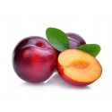 CHERRY PLUM - ALUBUKHAR BOX : 2.5 KG