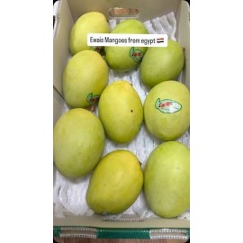 EWAIS JUMBO EGYPT MANGO : 1 DOZEN