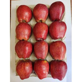 WASHINGTON APPLE GIFT BOX : 3KG