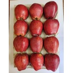 WASHINGTON APPLE GIFT BOX : 3KG