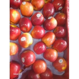QUEENS APPLES GIFT BOX : 5KG