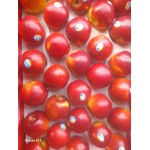 NEW ZEALAND QUEEN MINI APPLES GIFT BOX : 5KG