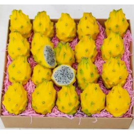 THAI PITAYA YELLOW DRAGON FRUIT GIFT BOX : 3KG