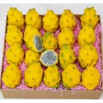 THAI PITAYA YELLOW DRAGON FRUIT GIFT BOX : 3KG