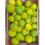 IDLIMBU - ROUGH LEMON : PACK OF 6 PCS