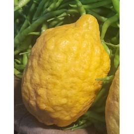 GAL LIMBU - CITRON LEMON : 1KG