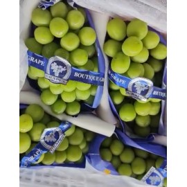 SHINE MUSCAT GRAPES GIFT BOX : 2KG