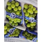 SHINE MUSCAT GRAPES :GIFT BOX : 2KG