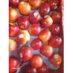 ROYAL GALA APPLES GIFT BOX : 5KG