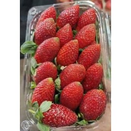 STRAWBERRY  BASKET  : 1KG