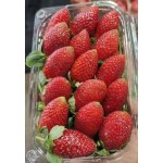 STRAWBERRY  BASKET  : 1KG