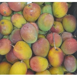 LALBAGH MANGO  CRATE :  20KG