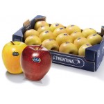 MELINDA GOLDEN APPLES GIFT BOX : 5KG